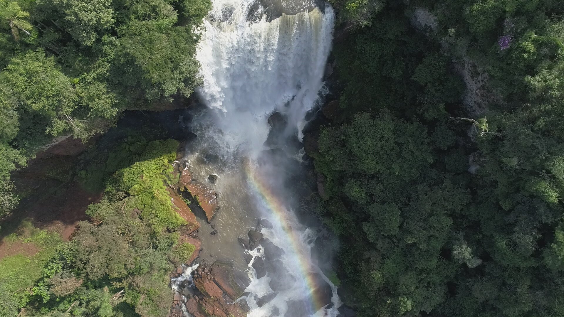 Caminhada na Natureza – Circuito Rio da Onça